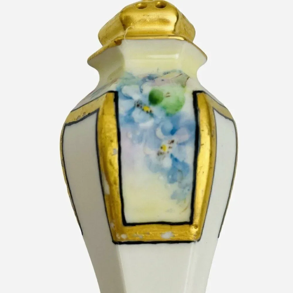 Antique 1900 Belleek Lenox Salt & Pepper Shakers Forget Me Nots Hand Painted Set